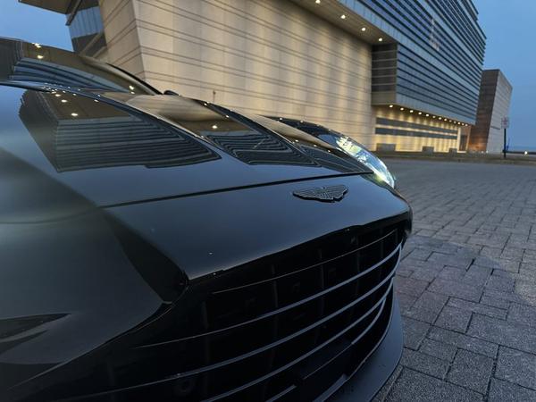 Front grille and hood, dusk